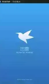 迅雷去广告版本免费最新版