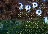 星际争霸1.09
