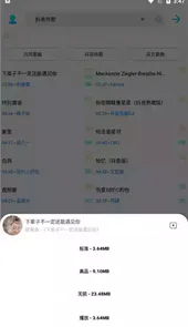 歌词适配app