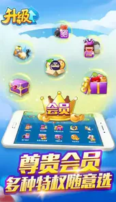 多乐升级游戏华为定制版