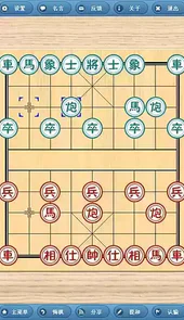 象棋巫师绿色破解版