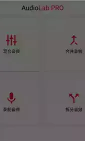 audiolab专业版