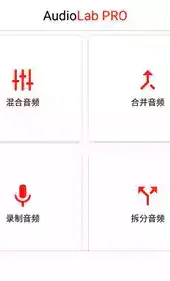 audiolab专业版