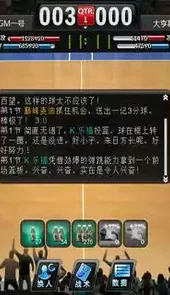 范特西篮球大亨