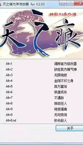 天之痕修改器ios