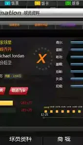 范特西篮球大亨ol