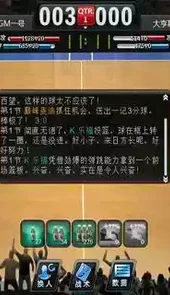 范特西篮球大亨ol