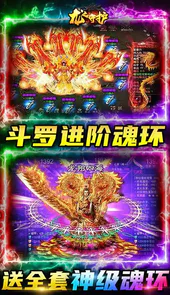 龙之守护(斗罗无限版)