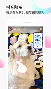 抖音PC版