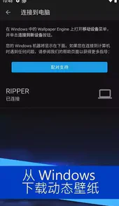 wallpaper engine官网最新