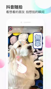 抖音19.4.2版本