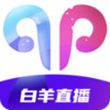 802tv白羊直播app 1.1