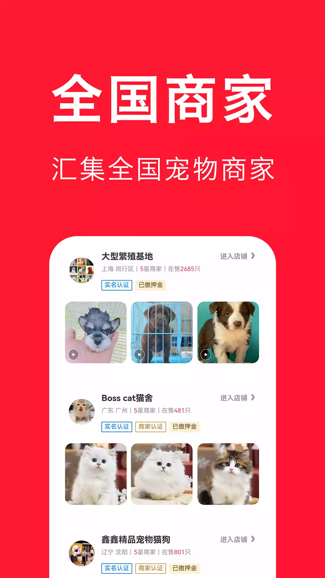 宠物宝app