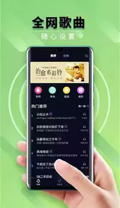 来电秀秀秀app