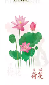 天天植物软件