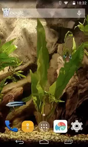 水族馆壁纸动态