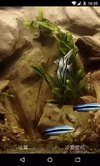 水族馆壁纸动态