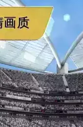 世界足球2011安卓汉化版