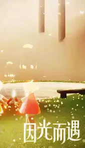 光遇全物品联机版