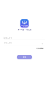 平安山西行政app