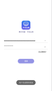 平安山西行政app