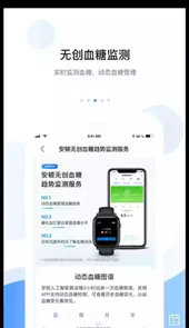 小安体验版
