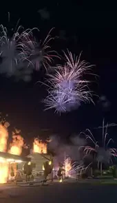 鲤鱼ace烟花模拟器3d