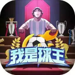 我是球王免费完整版