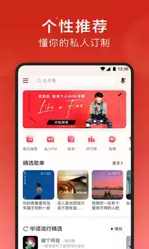 网易云音乐app海外版