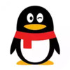 qq2022 6.11