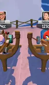 angry birds go