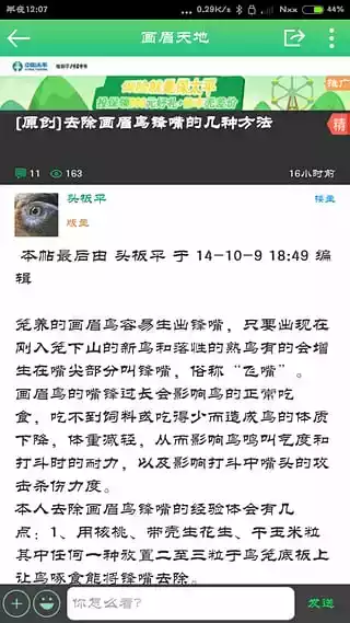 快活鸟论坛官网