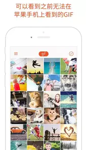 GIF Viewer动图制作