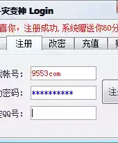 csol灾变神辅助