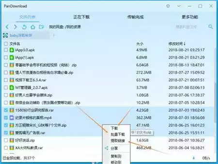 pandownload手机版最新