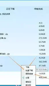 pandownload手机版最新