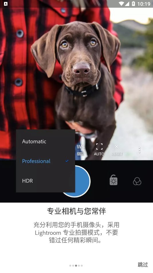 adobe lr手机完整中文app