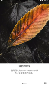 adobe lr手机完整中文app