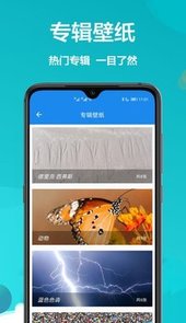 主题商店鸭app