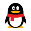 qq2022最新版本 7.15