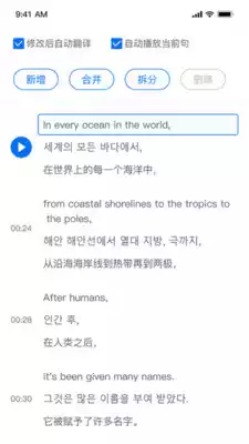 翻外字幕APP