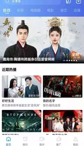 荐片电视版