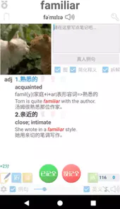 迈西背单词软件