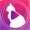 小猫直播平台软件app 2.5