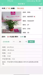 缤纷盆栽