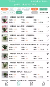缤纷盆栽