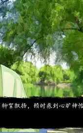 家族史之百乐