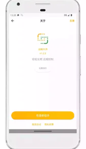 远程大师app