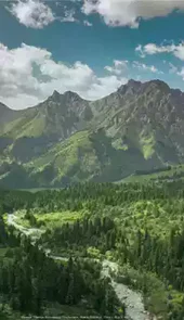 河北森林督查app