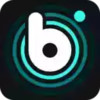 波点音乐app安卓版 4.8